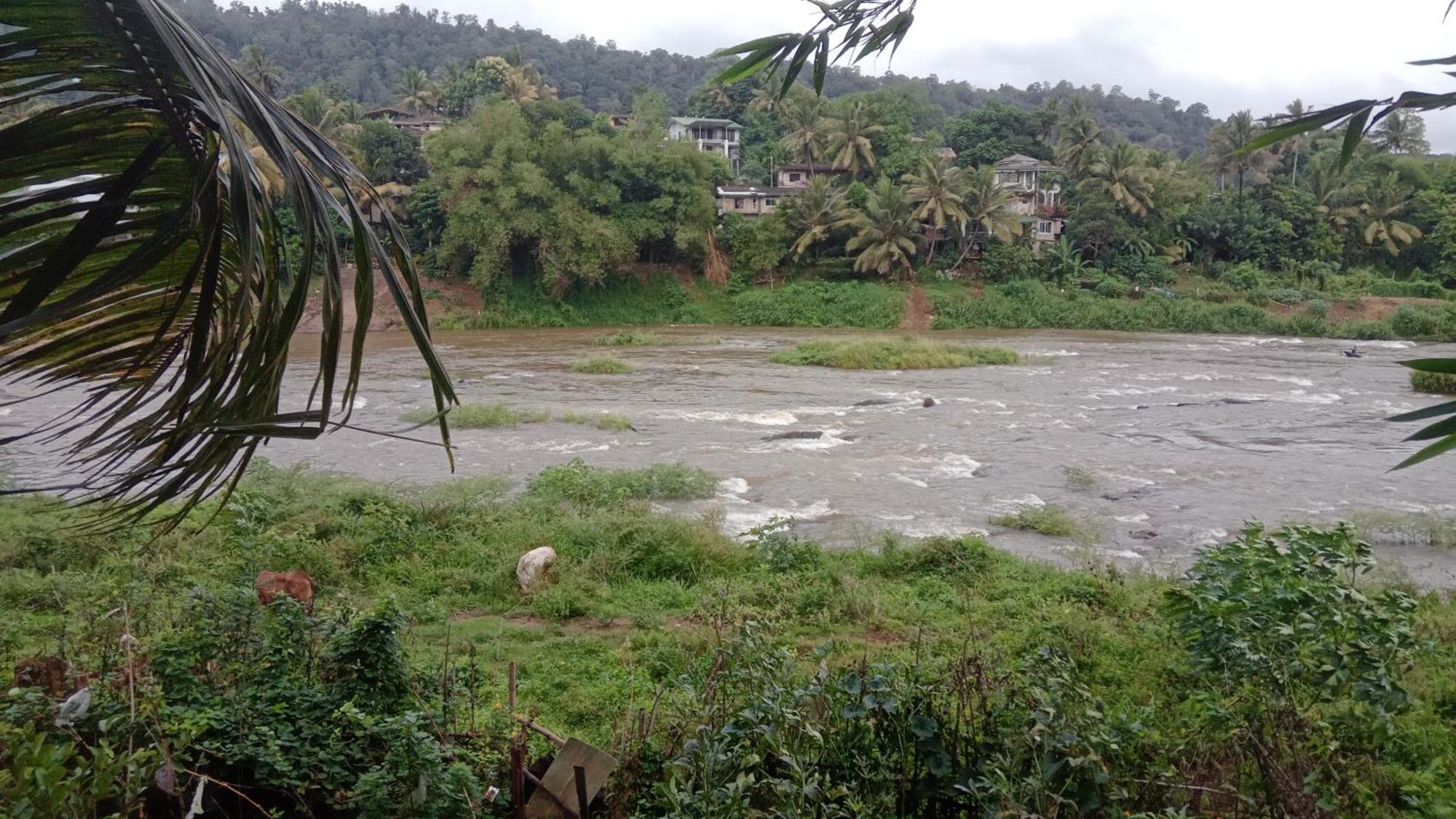 Kandy River Garden Екстер'єр фото